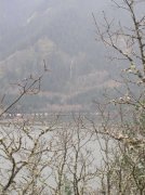 3.24.06 Dog Mountain 056 